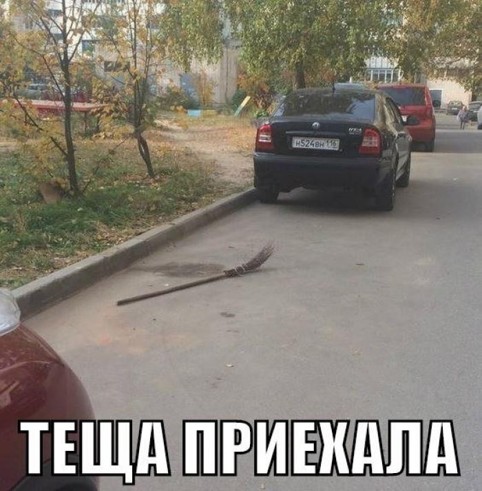 Теща приехала