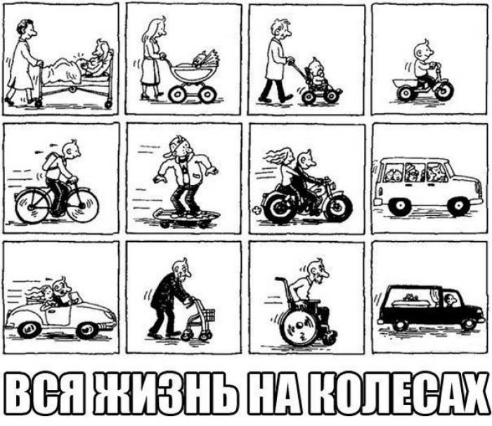 вся жизнь на колесах