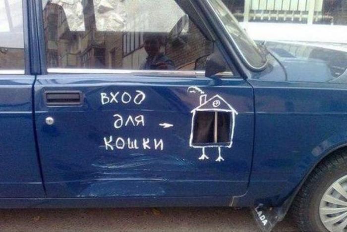Вход для кошки