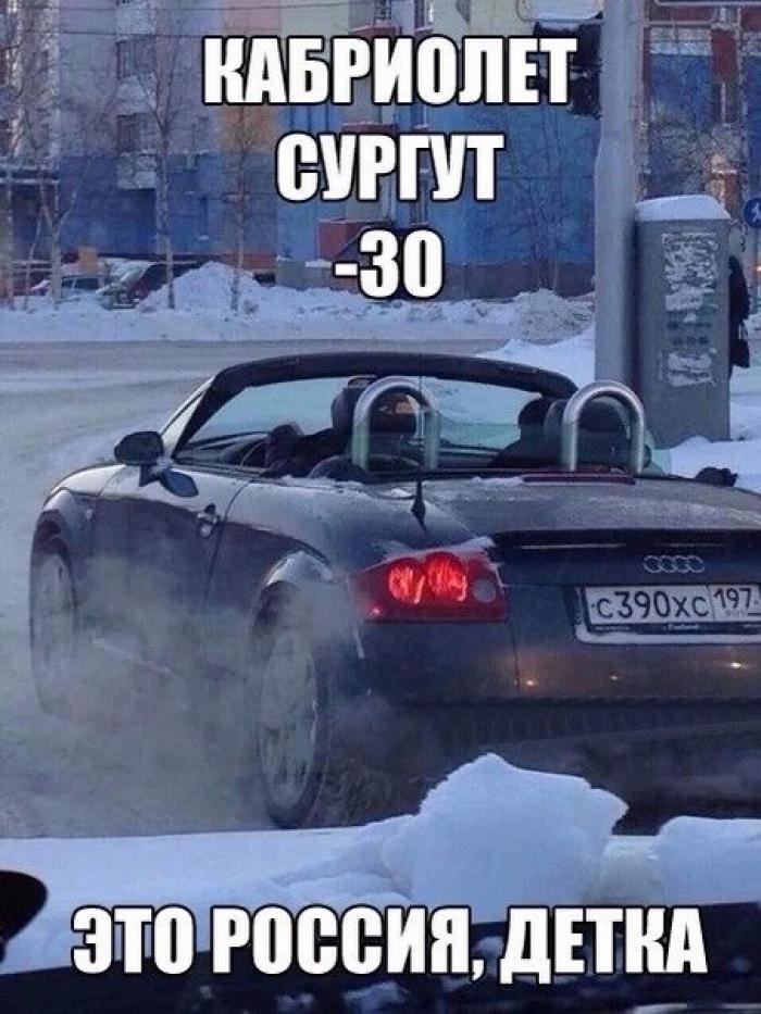 Цитаты, приколы в сургуте картинках