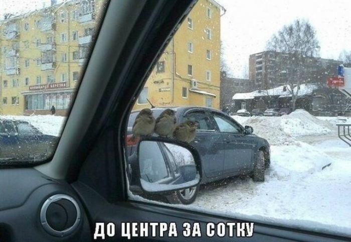 автостопом